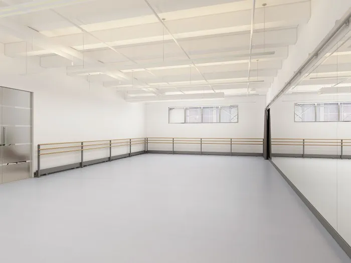 A&A Ballet Picture 8