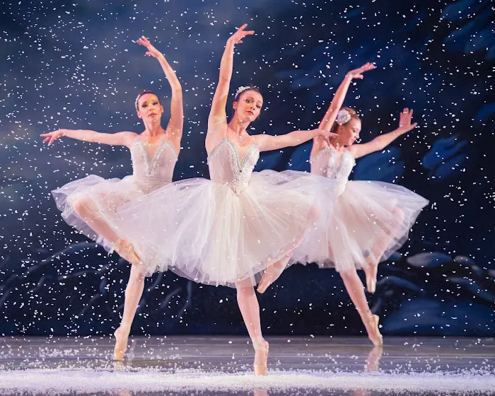 Ballet Chicago Picture 7
