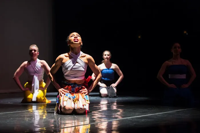 Deeply Rooted Dance Theater Picture 4