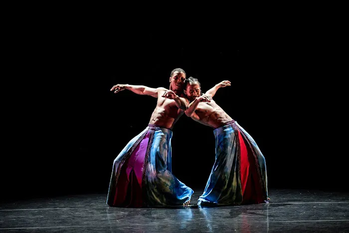 Deeply Rooted Dance Theater Picture 9