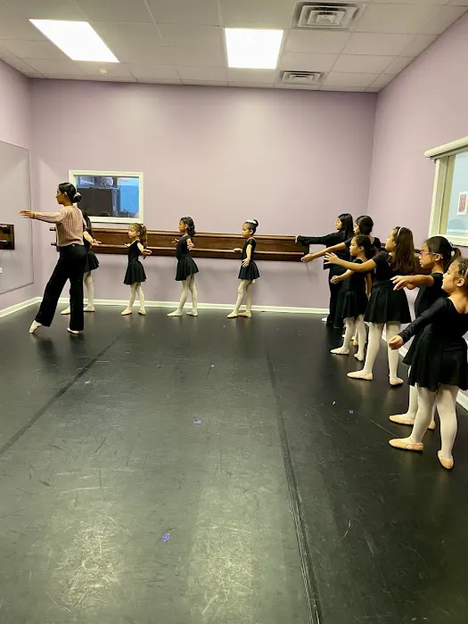House of Dance Picture 6