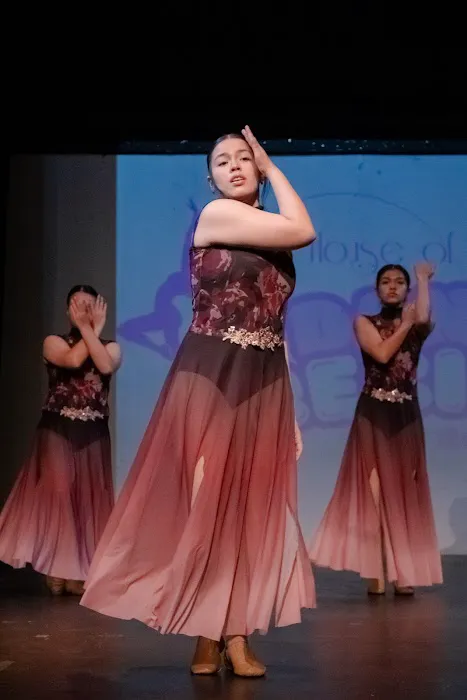 House of Dance Picture 7