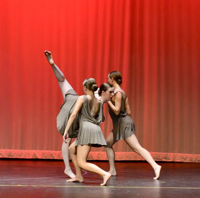 Dance Center of La Grange Picture 3