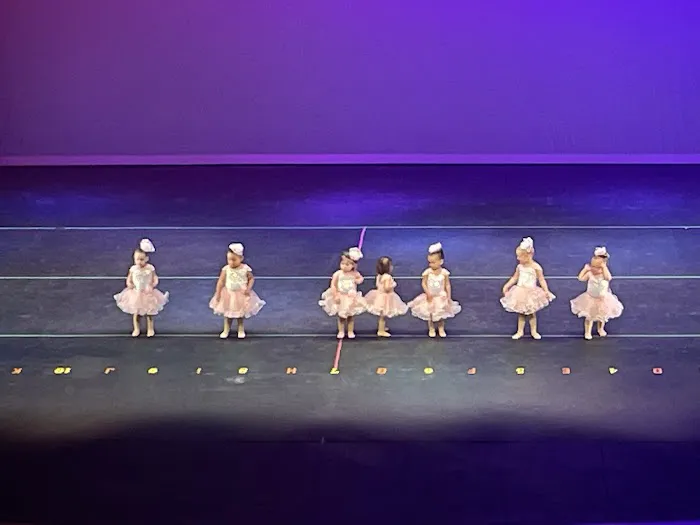 Turning Pointe Dance Company Lockport Picture 1