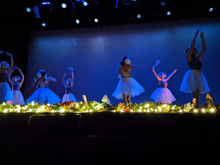 INTUIT Dance! Picture 1