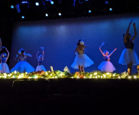 INTUIT Dance!