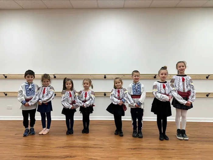 Art Dance Studio Picture 2