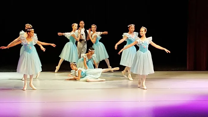 Arts Ballet Conservatory Picture 2