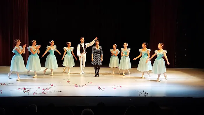 Arts Ballet Conservatory Picture 6