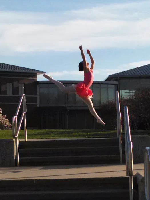 Arts Ballet Conservatory Picture 5