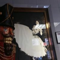 The Ruth Page Center for the Arts ico