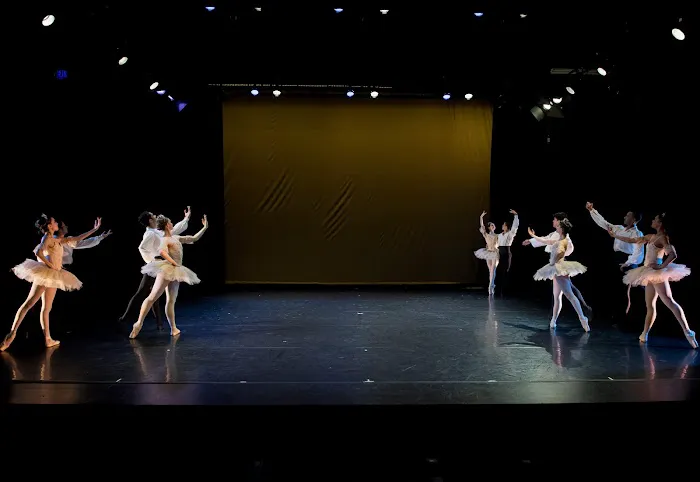 The Ruth Page Center for the Arts Picture 8