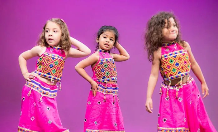 Bollywood Groove & Culture Groove Picture 8