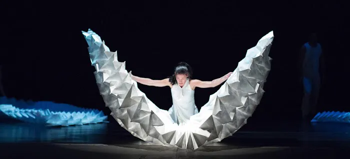 Hedwig Dances Picture 1