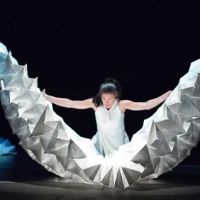 Hedwig Dances ico