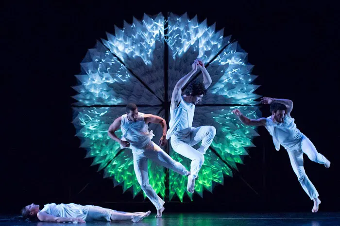 Hedwig Dances Picture 7