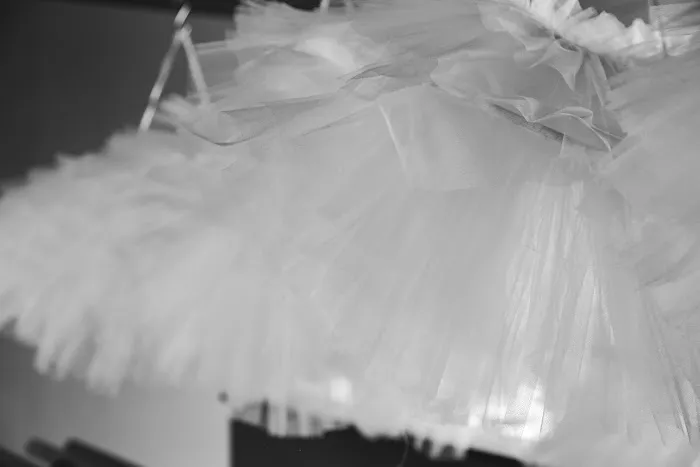West Suburban Ballet Conservatory Picture 5