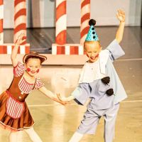 Hinsdale Dance Academy ico