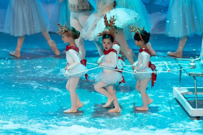 Hinsdale Dance Academy Picture 7