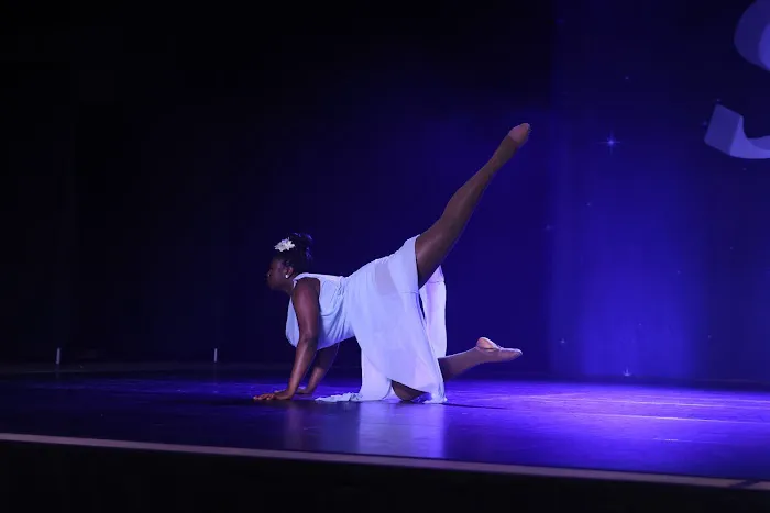 Pulse Performing Arts Dance Picture 5