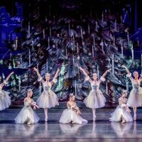 Salt Creek Ballet ico