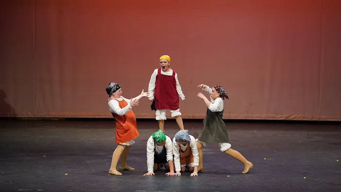 Artistic Pursuit Dance Company Picture 2