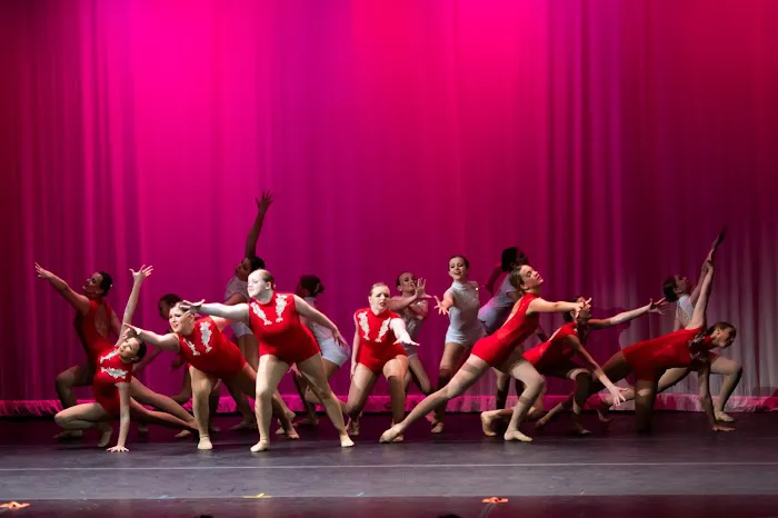 Dynamic Perception Dance Company Picture 5