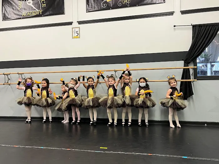 Vaughan Dance Academy Picture 7