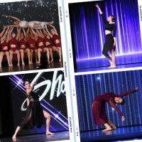 Intricate Dance Chicago ico