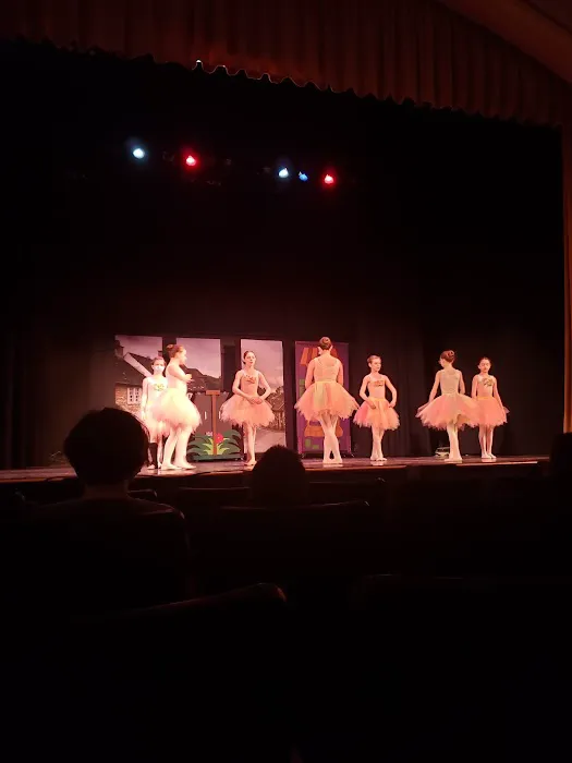 The Chicago Ballet Center Picture 1