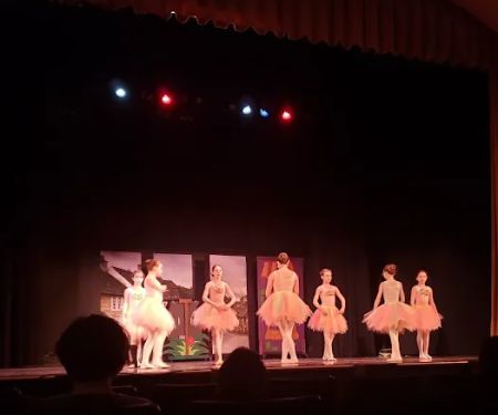 The Chicago Ballet Center