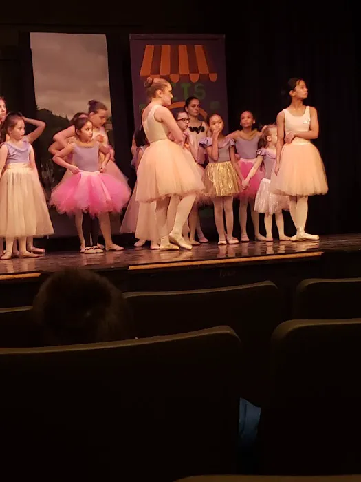 The Chicago Ballet Center Picture 2