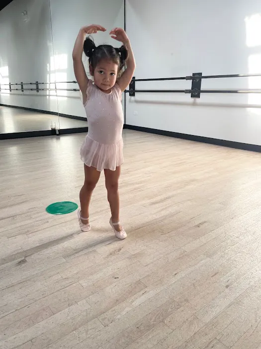Visceral Dance Center Picture 4