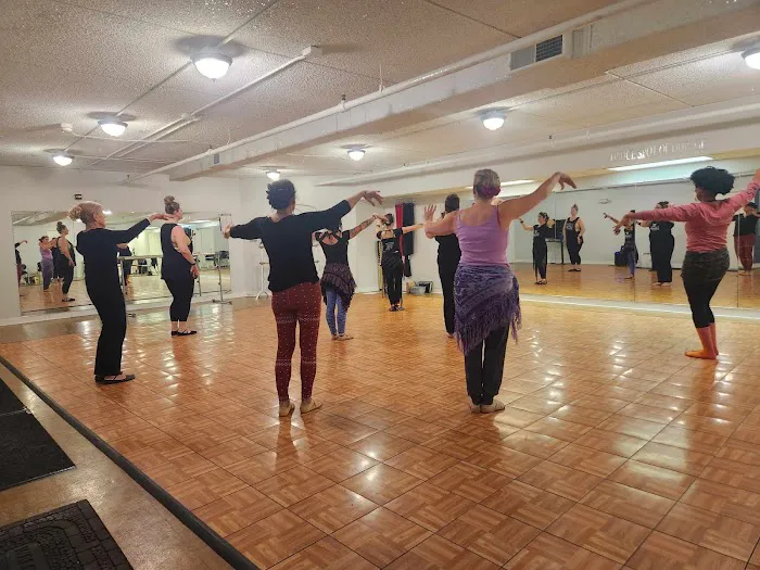 Dianella Dance a FatChanceBellyDance®Style Partner Studio in Naperville Picture 1