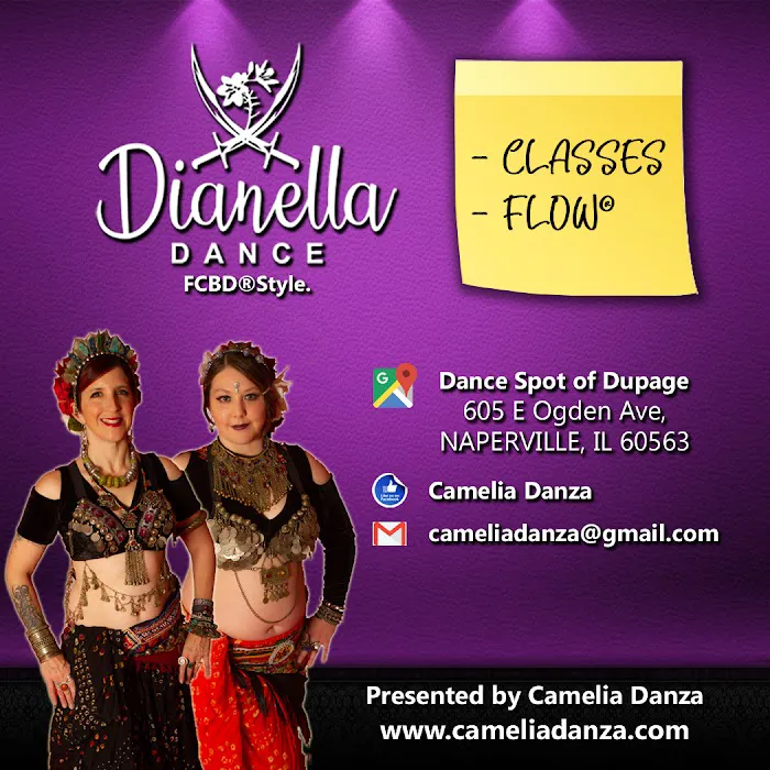 Dianella Dance a FatChanceBellyDance®Style Partner Studio in Naperville Picture 8