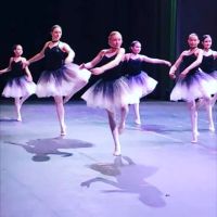 Spotlight Dance Academy Of Chicago ico