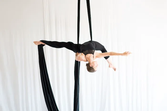Aerial Dance Chicago Picture 2