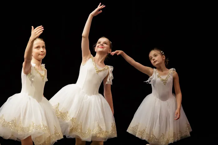 McFetridge Dance Studio Picture 7