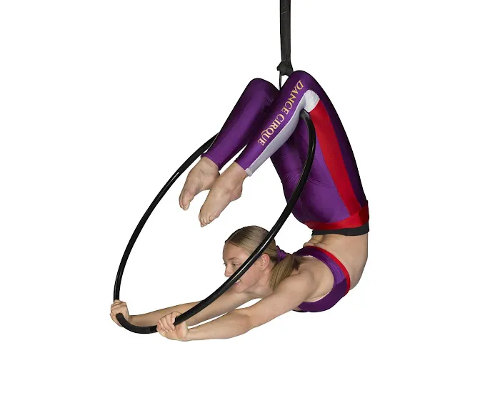 Prodigy Dance and Aerial Arts Center Picture 4