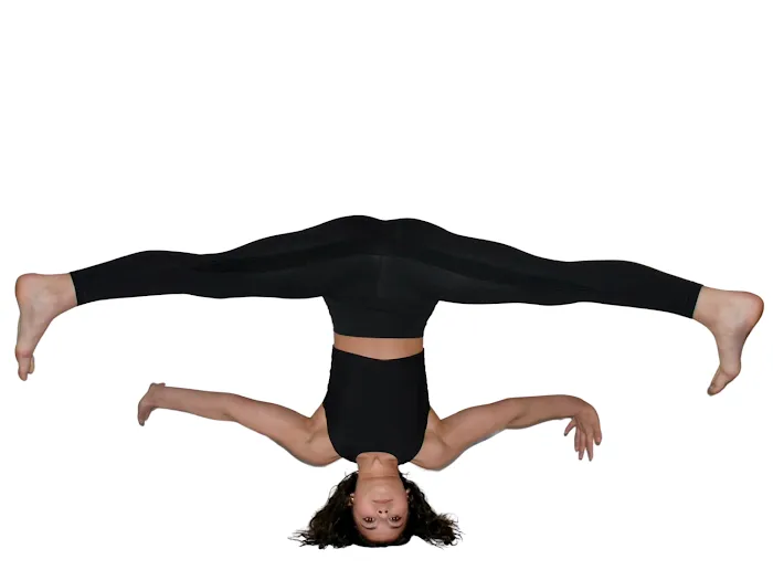 Force Dance Collective Picture 4