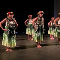 Hōkūle'a Academy of Polynesian Arts ico