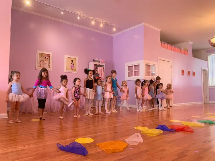 Tutu School Roscoe Village Picture 3