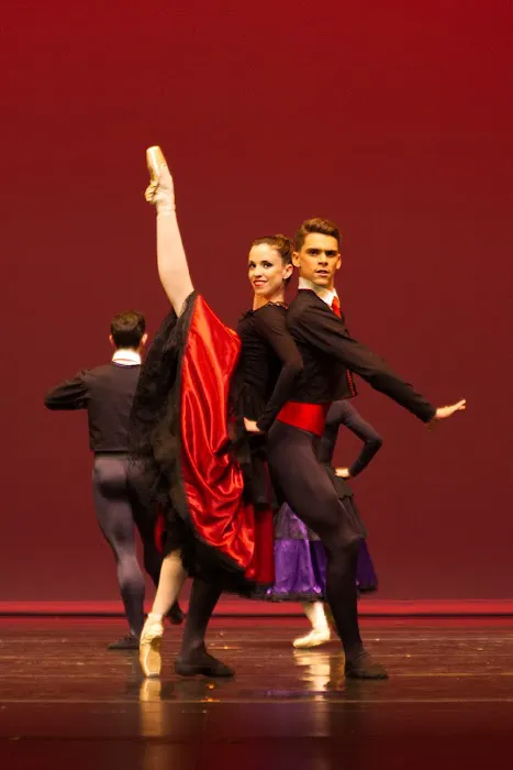 Alma Dance School LLC Picture 6