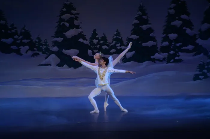 Alma Dance School LLC Picture 3