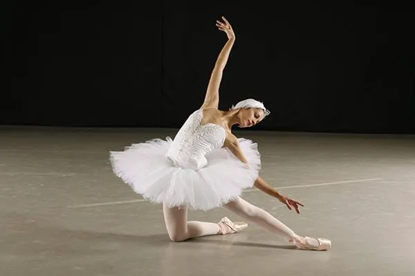 Alma Dance School LLC Picture 8