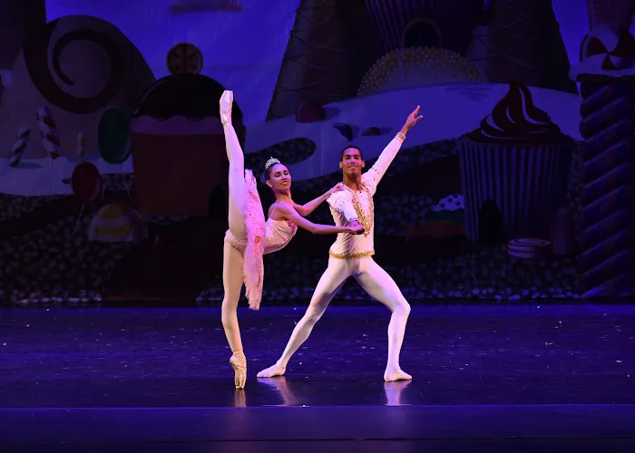 Alma Dance School LLC Picture 7