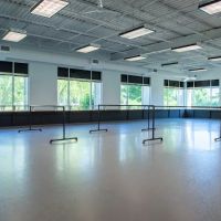 The Academy of Dance Arts ico