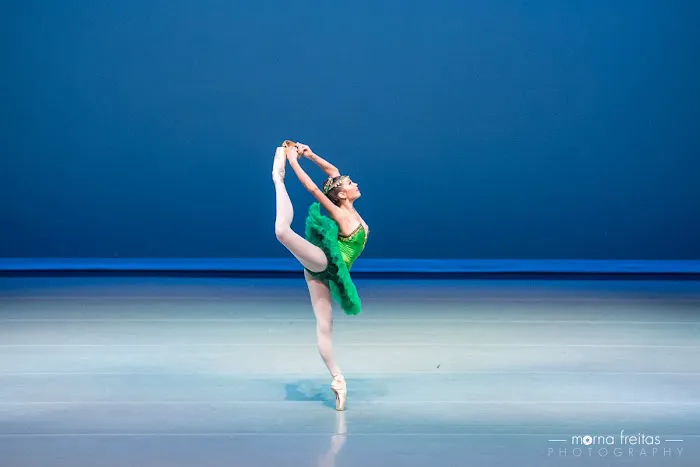 The Academy of Dance Arts Picture 9