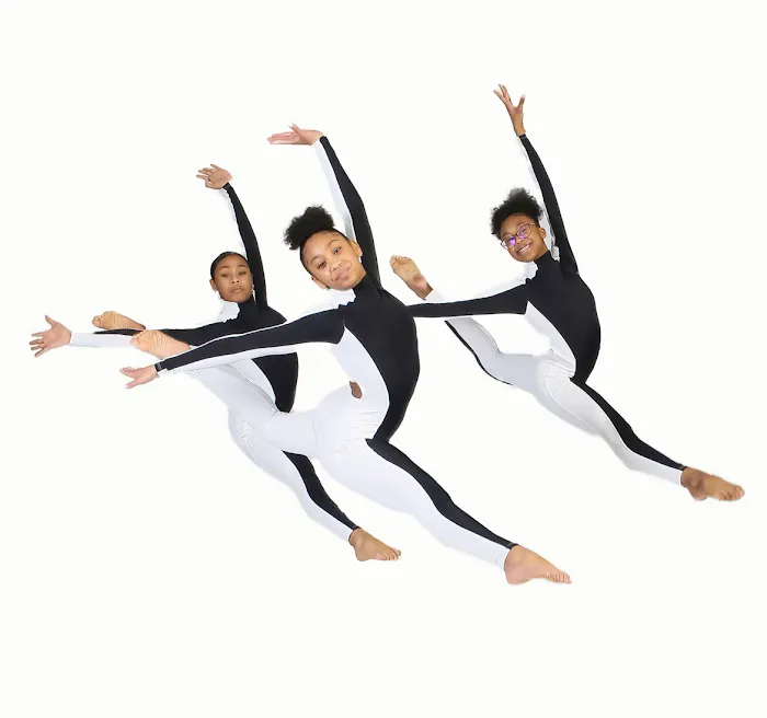 Dream School of Dance Picture 1