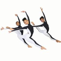 Dream School of Dance ico